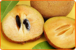 sapota